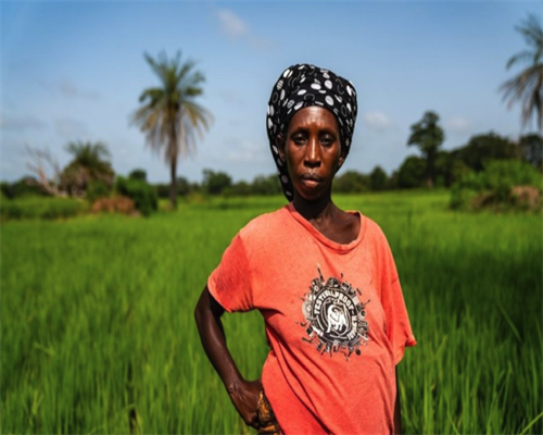 选择靠谱代孕公司，羊穿检查项目全解析避免后悔