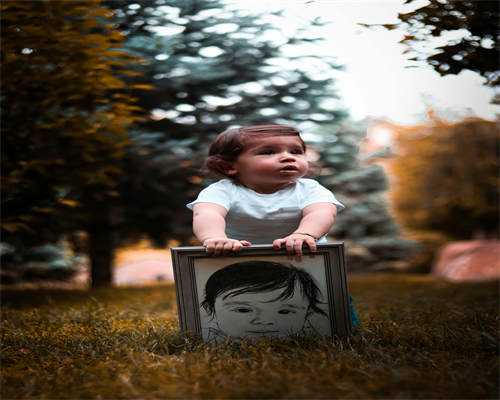 2026年试管婴儿费用明细与省钱攻略